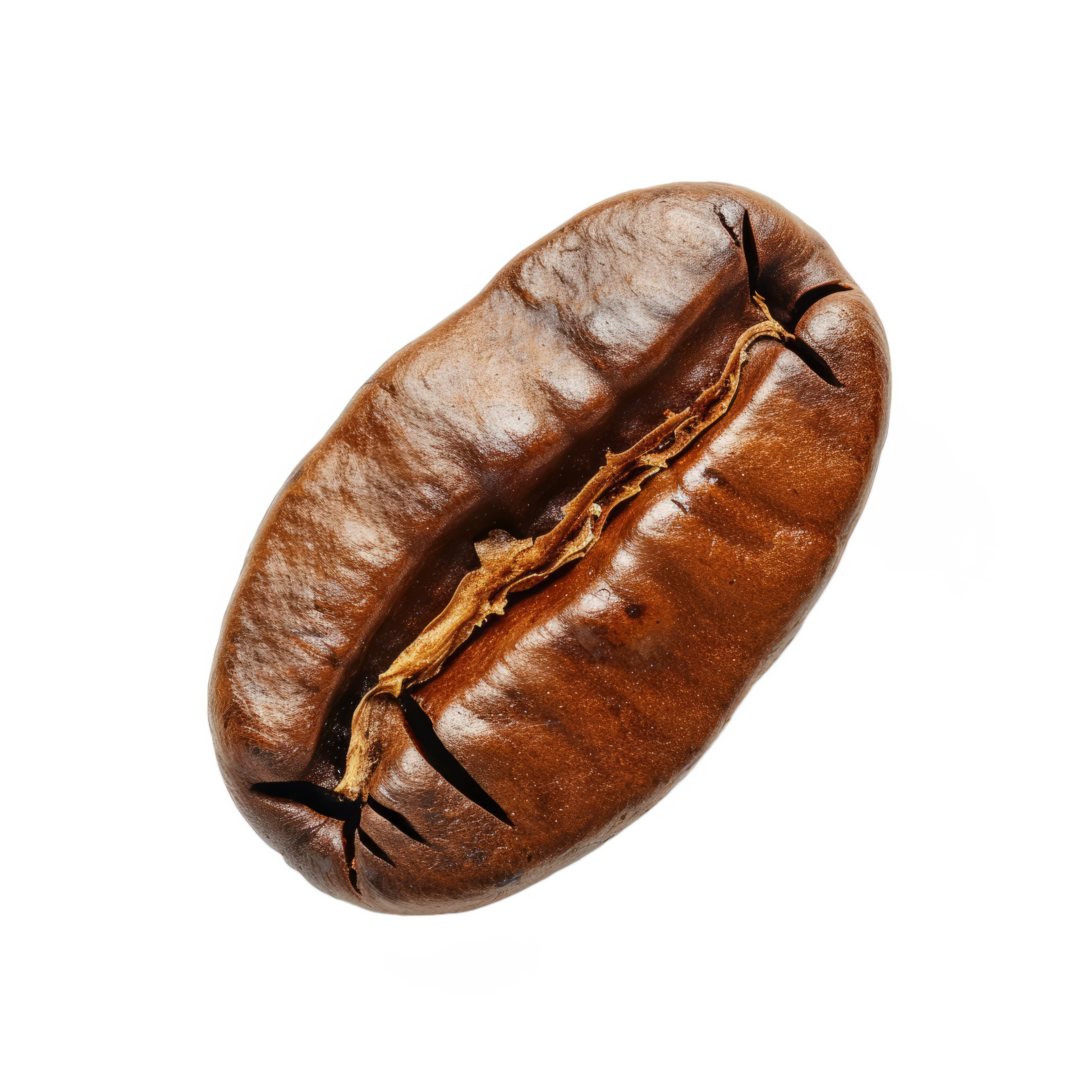 Coffee Bean