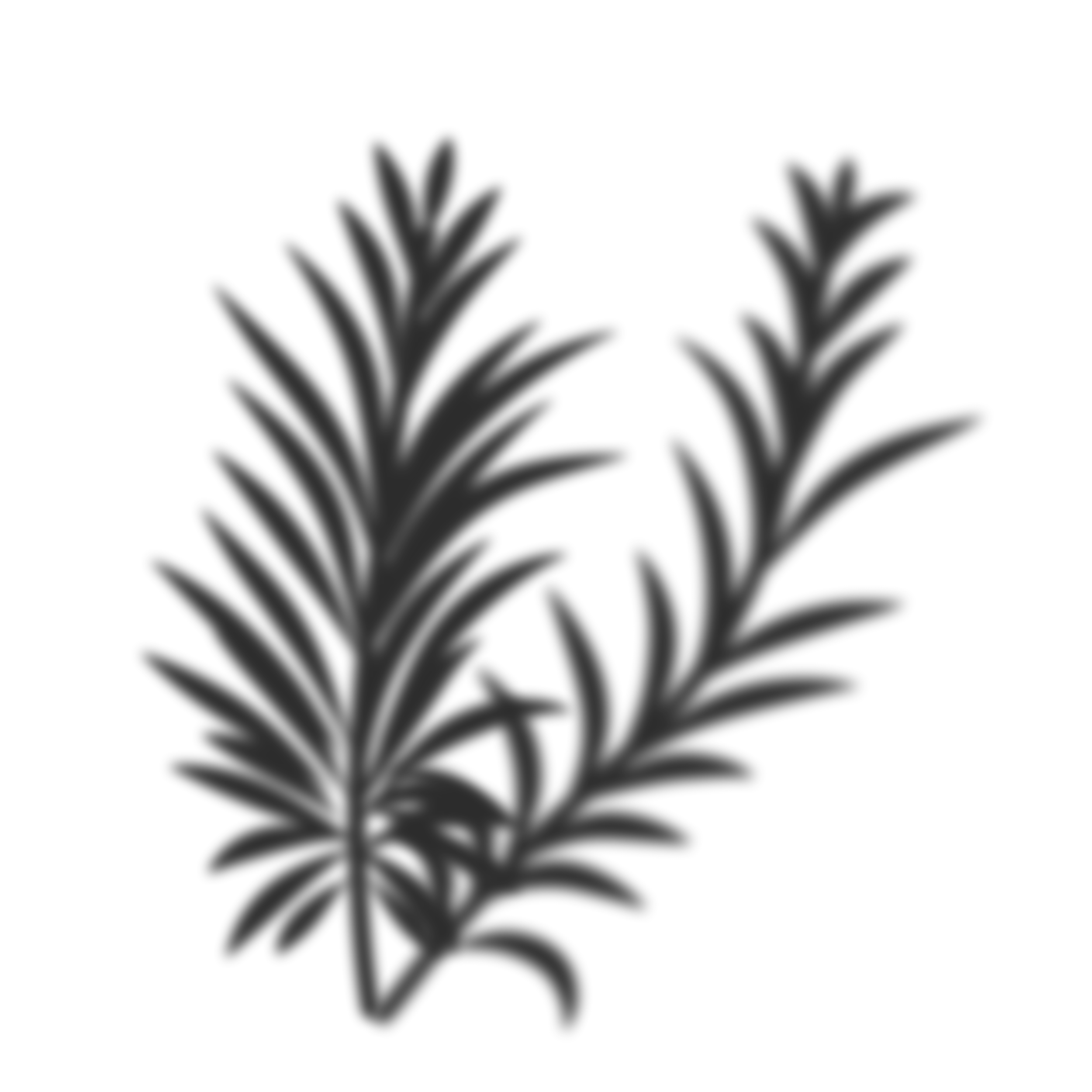 leaf-shadow2