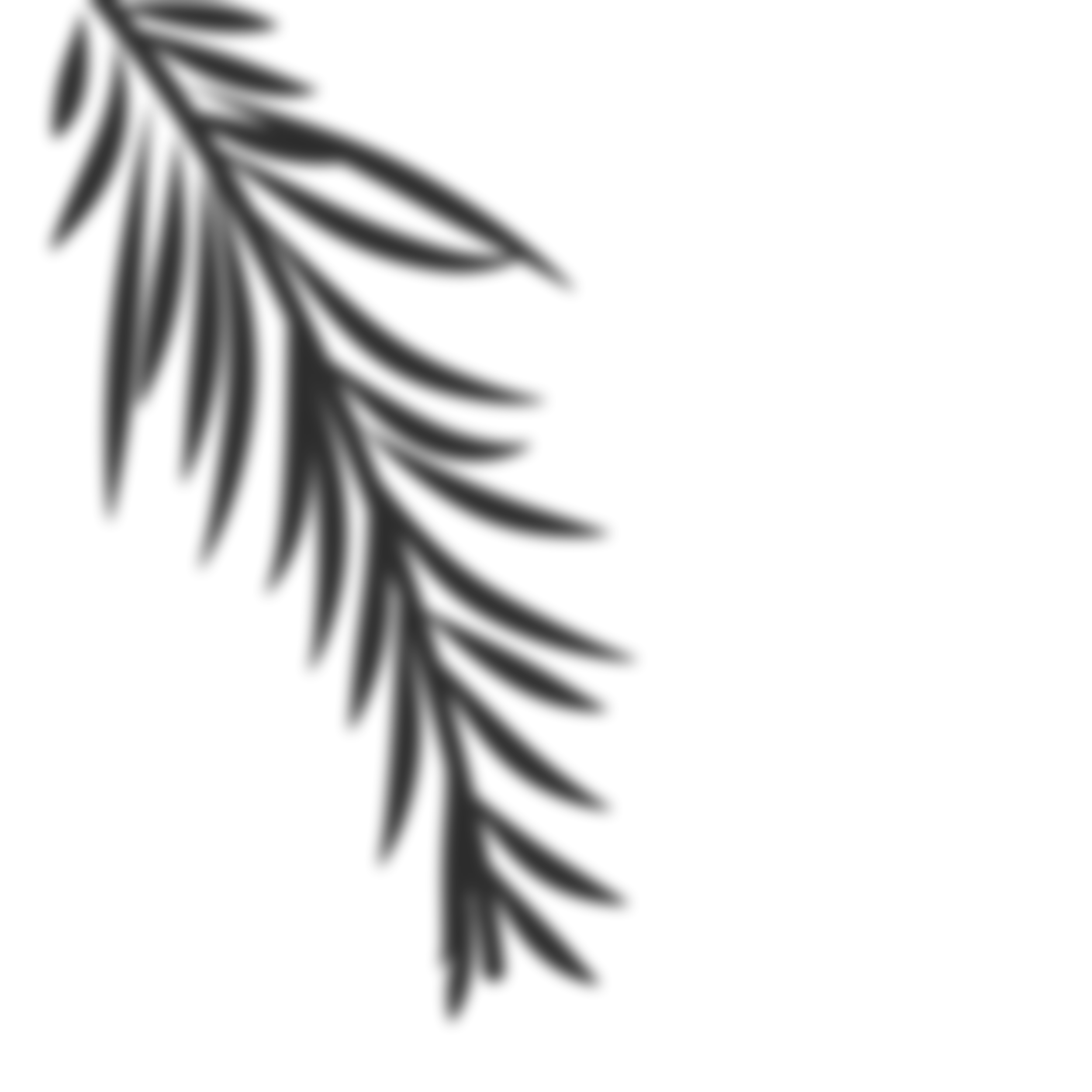leaf-shadow